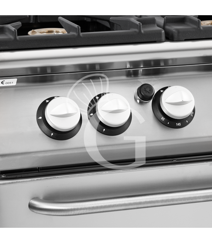 Professioneller Gasherd mit 6 Brenner und MAXI Gasbackofen, Tiefe 900 mm
