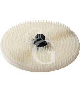 Bürstenscheibe/Trommelboden mit Nylon-Bürsten für Miesmuschelreiniger