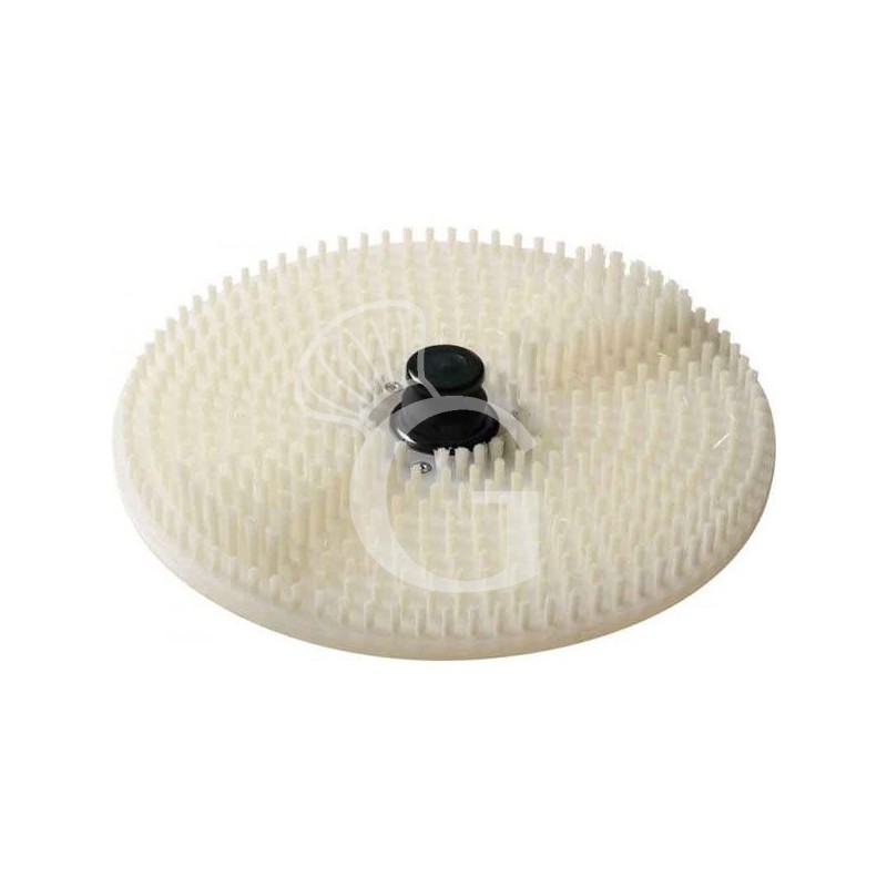 Bürstenscheibe/Trommelboden mit Nylon-Bürsten für Miesmuschelreiniger Bürstenscheibe/Trommelboden mit Nylon-Bürsten für Miesmuschelreiniger