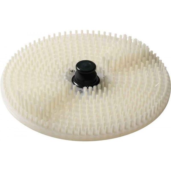 Bürstenscheibe/Trommelboden mit Nylon-Bürsten für Miesmuschelreiniger