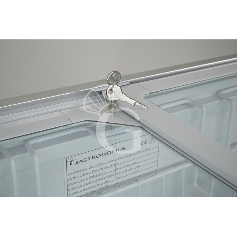 verschließbare Tiefkühltruhe (273 L), statisch, Glasdeckel, Temperatur -18°C