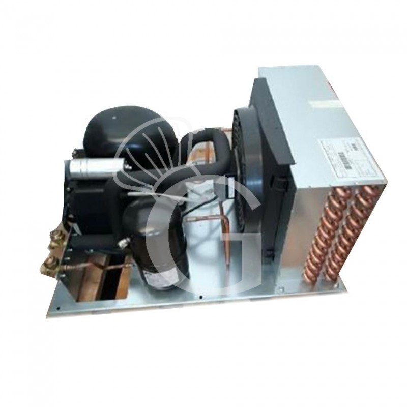 Ferngesteuerter Motor BT - Temp. -18/-22°C - 800 W - 60 Hz