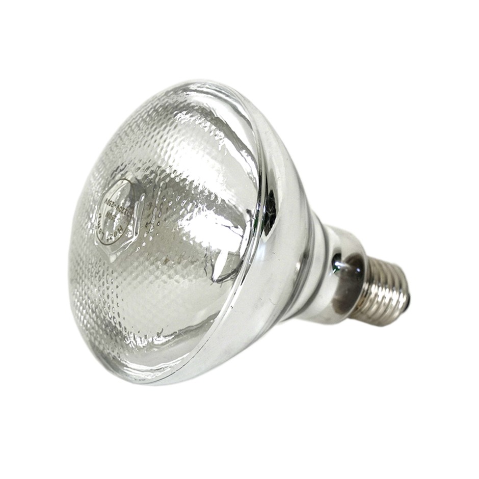 Glühbirne für Wärmelampe