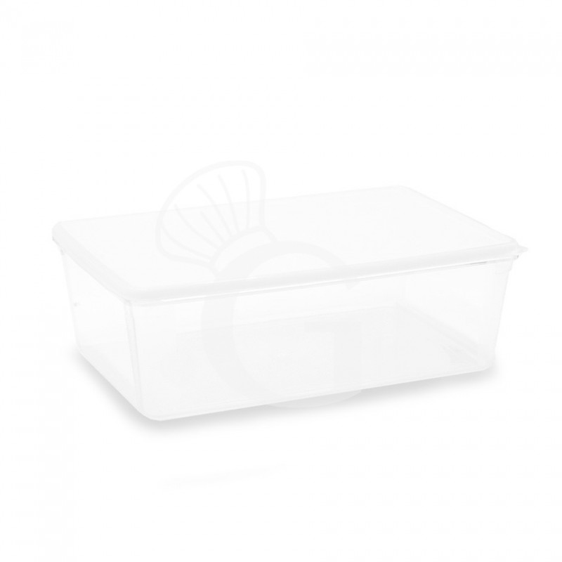 Luftdichter Behälter (4,5 Liter), B 300 x T 200 x H 105 mm