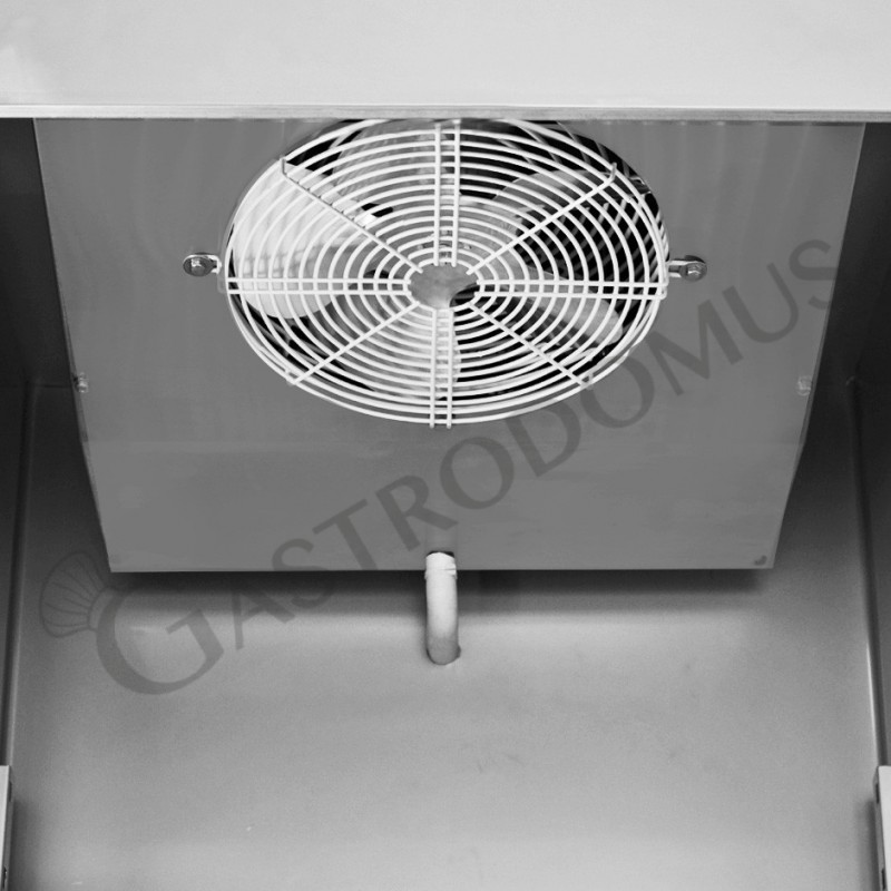 Tiefkühlschrank (1040 L), Umluftkühlung, -18°C/-22°C, 2 Türen, Energieklasse D