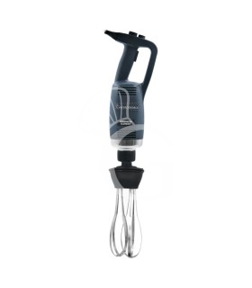 Stabmixer, Rührbesen, regulierbare Geschwindigkeit, 8000/20000 U/Min, 500 W