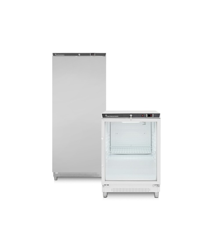 Armadi Refrigerati e Vetrine in ABS per Surgelati